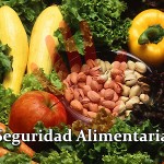Curso virtual de “Políticas de seguridad alimentaria y nutricional en Colombia”